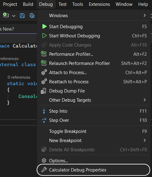 Project Debug Properties