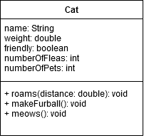 Cat class