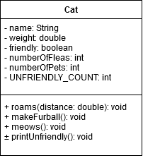 Cat class